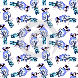 Blue Jay or Cyanocitta cristata bird seamless watercolor birds painting background