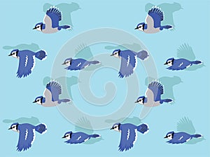 Blue Jay Flying Vector Seamless Background Wallpaper-01
