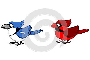 Blue Jay and Northern Cardinal Cartoon