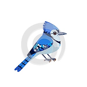 Blue jay is a passerine bird in the family Corvidae. Blue Bird Cartoon flat style character of ornithology, vector