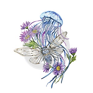 Blue Jellyfish, cicada, chrysanthemum violet flowers isolated on white background. Watercolor hand drawing illustration