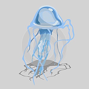Blue jellyfish with long tentacles, isolated image