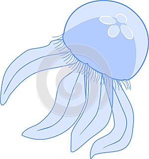 Blue jellyfishes or Aurelia aurita on blue background with titleBlue jellyfish or Aurelia aurita on white background