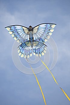 Blue kite racess across the sky