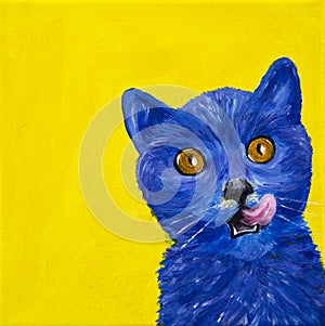 Blue kitten yellow background