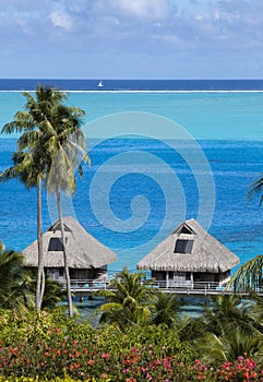 Blue lagoon of the Bora Bora island, Polynesia. Top view on palm trees, traditional lodges over water and the sea