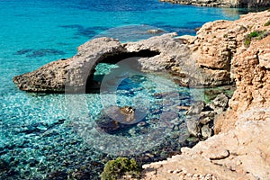 Blue lagoon comino island photo