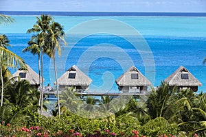 Blue lagoon of the island of Bora Bora, Polynesia. A view from height on palm trees, traditional lodges over water and the sea