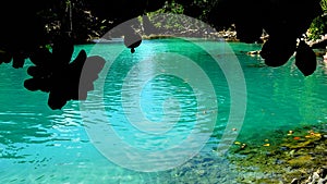 The Blue Lagoon on the island of Efate in Vanuatu.