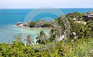 Blue lagoon with palms from view point