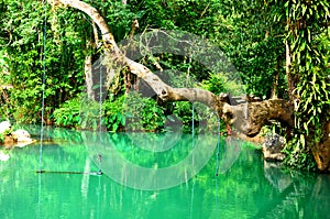 Blue lagoon in Vang Vieng, Laos