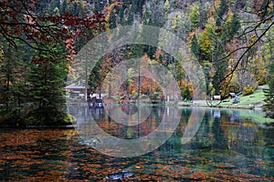 Blue lake called Blausee in Switzerland