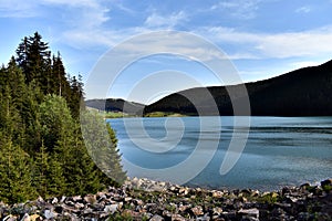 Blue Lake in the Forest