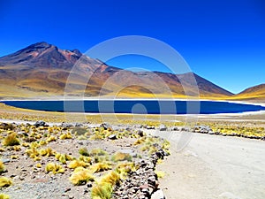 Blue Lake Meniques, San Pedro de Atacama, Chile photo