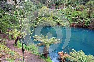 Blue Lake natural coloring at Jenolan Caves in Blue Mountains, Australia