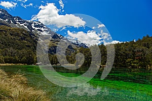 Blue lake, Nelson Lakes National Park, New Zealand