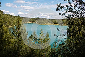 Blue lake in a pine forest