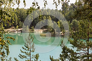 Blue lake in a pine forest