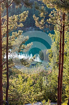 Blue lake in a pine forest, vertical photo