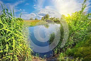 Blue lake or river with green reeds on the shore on a sunny day