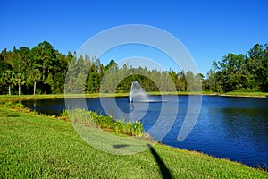 A blue lake in Tampa palms