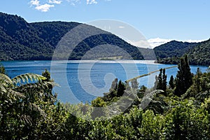 Blue Lake Tikitaupu near Rotorua, New Zealand