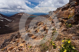 Blue Lake of Tongariro National Park, New Zealand