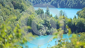 Blue Lakes and Lush Green Leaves in Summer in Plitvice Lakes National Park