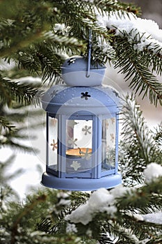 Blue lantern hanging on fir branch. Winter scenery.