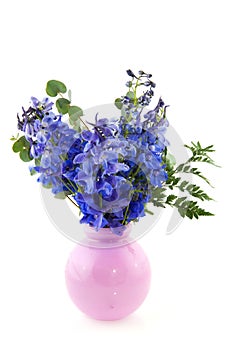 Blue larkspur in pink vase photo