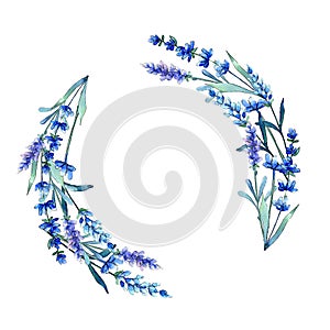 Blue lavender. Floral botanical flower. Wild spring leaf wildflower frame in a watercolor style.