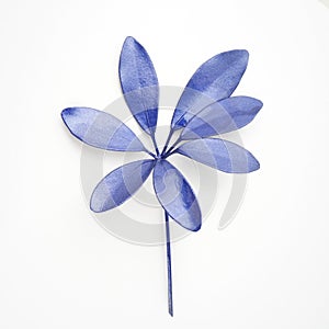 Blue leaf design elements. Decoration elements for invitation, wedding cards, valentines day, greeting cards. Isolated on white ba