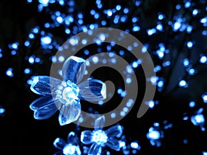 Blue LED flowers photo