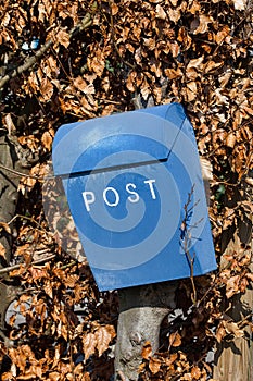 Blue Letter Box on Hedge