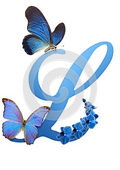 Blue letter with orchid and butterfly