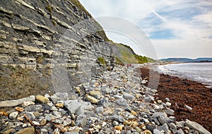 The Blue Lias of the Chippel Bay. West Dorset. England