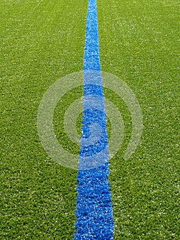 Blue line on the grass