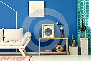 Blue living room with cactus