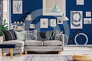 Blue living room with inspiring poster on the wall and grey sofa