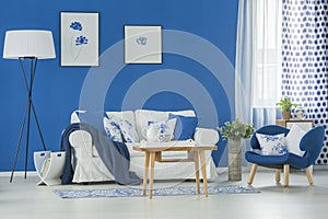 Blue living room interior