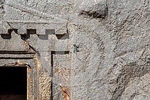 Blue lizard basking in the sun sitting on the wall of a stone-cut tomb in Myra