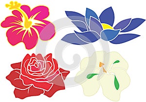 Blue Lotus, White Orchid, Red Rose and pink hibiscus vector