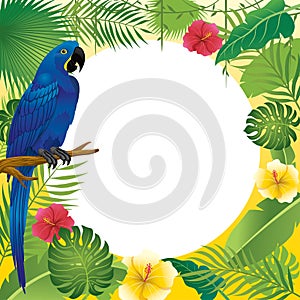 Blue macaw and tropical plants