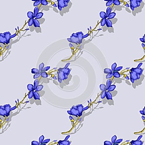 Blue magnolia on light background