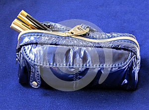 Blue Makeup Bag