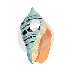 Blue marine sea shell, an empty shell of a sea mollusk. Colorful cartoon illustration