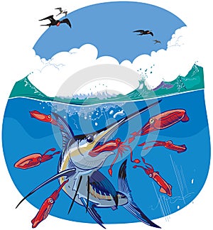 Blue Marlin Chasing Red Squid Vector Illustration