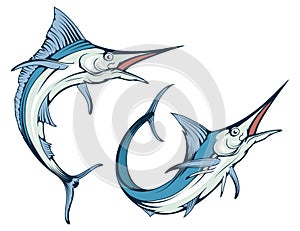 Blue marlin fish in different poses