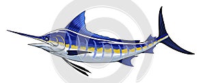 Blue Marlin Hand Drawn Illustration Vintage