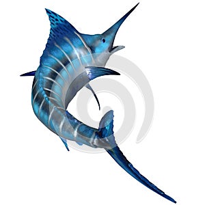 Blue Marlin Predator